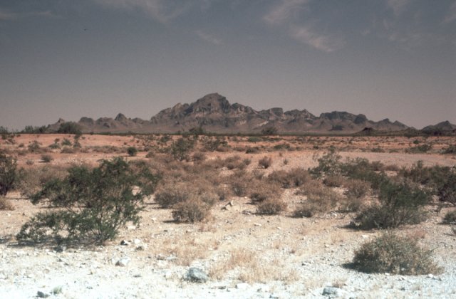 Scene across desert