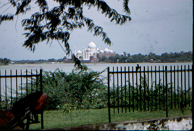 Taj across the river