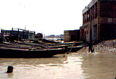 Houseboats on Ganges