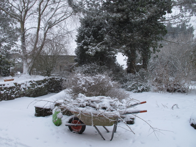 Wheel barrow left out in the snow