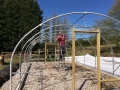 Constructing our poly tunnel has kept us busy